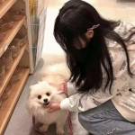 迷你诸神手游下载